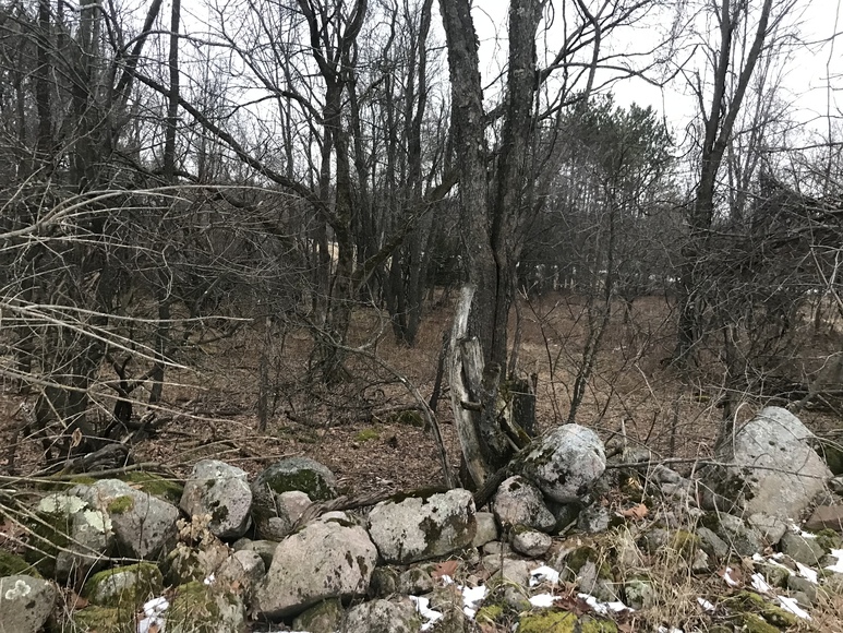 Image for Ready Trust - Approx 20 Acres - Great Wildlife Habitat