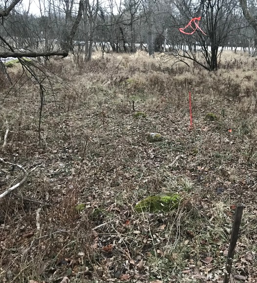 Image for Ready Trust - Approx 20 Acres - Great Wildlife Habitat