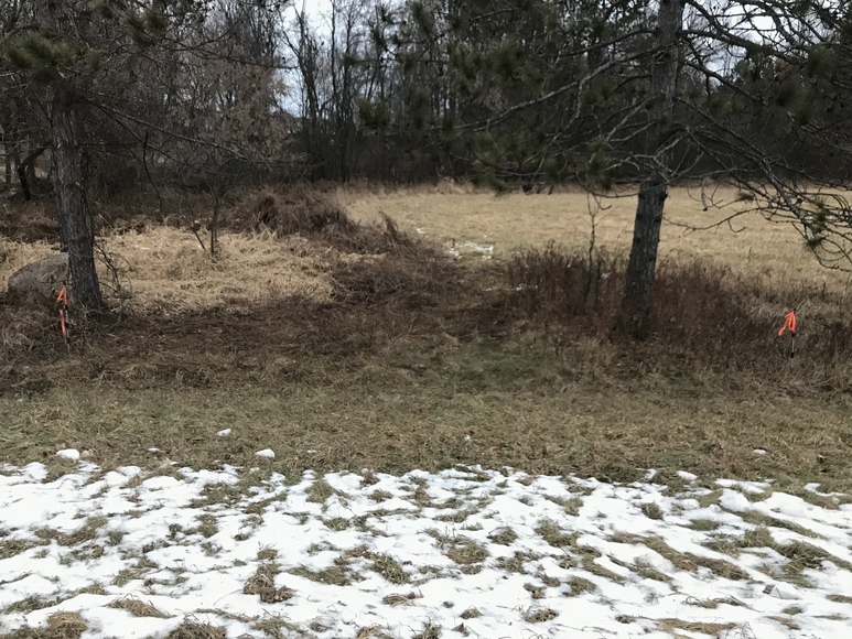 Image for Ready Trust - Approx 20 Acres - Great Wildlife Habitat