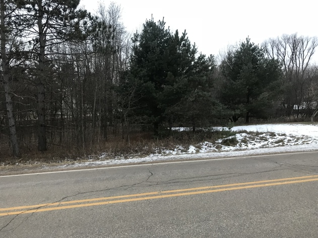 Image for Ready Trust - Approx 1.38 Acres - Buildable Lot