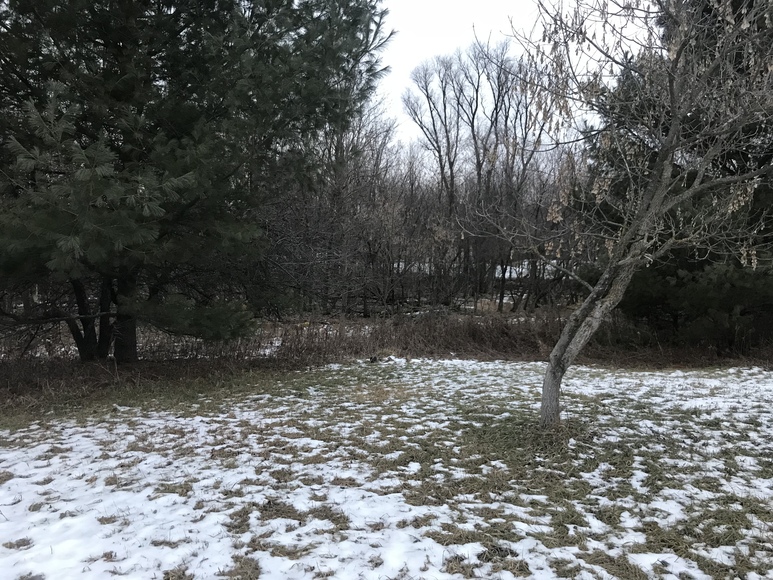 Image for Ready Trust - Approx 1.38 Acres - Buildable Lot