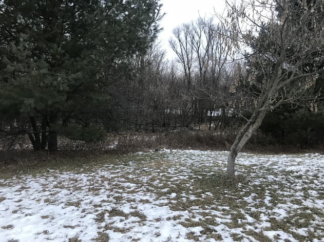 Image for Ready Trust - Approx 1.38 Acres - Buildable Lot