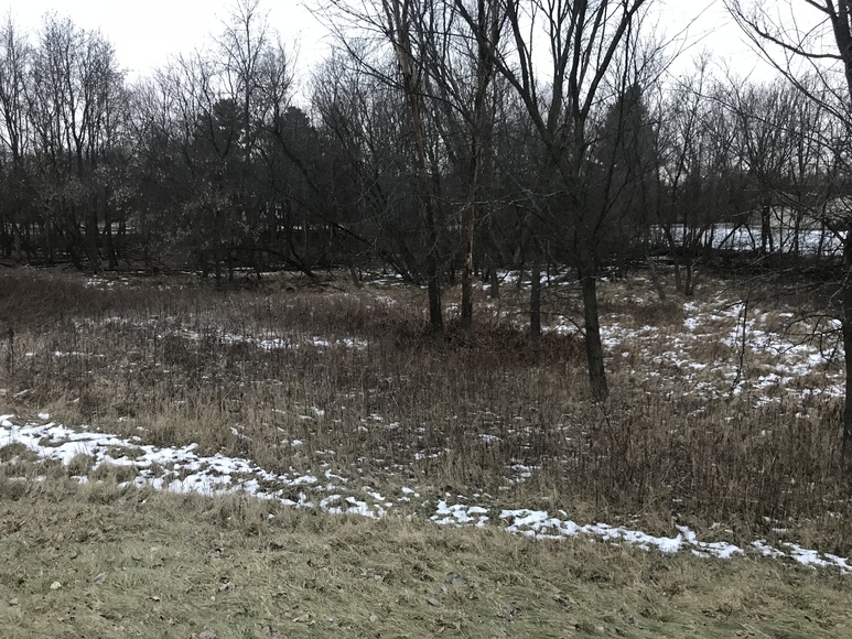 Image for Ready Trust - Approx 1.38 Acres - Buildable Lot