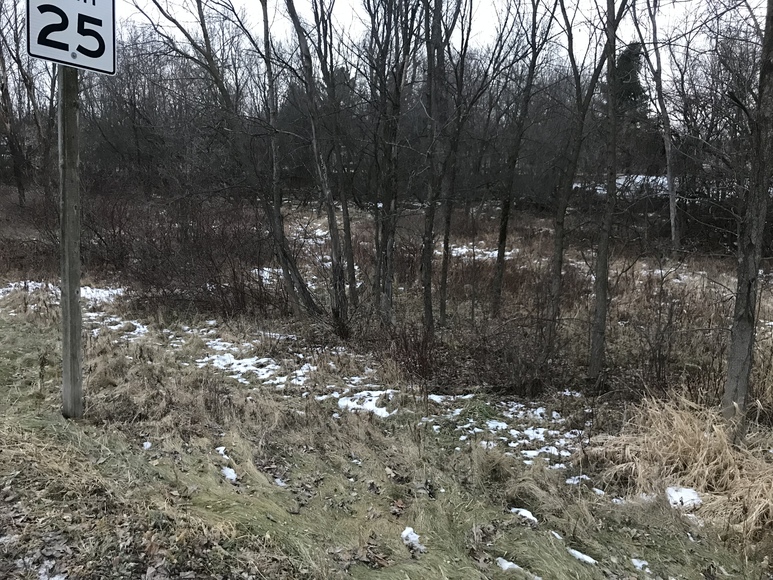 Image for Ready Trust - Approx 1.38 Acres - Buildable Lot