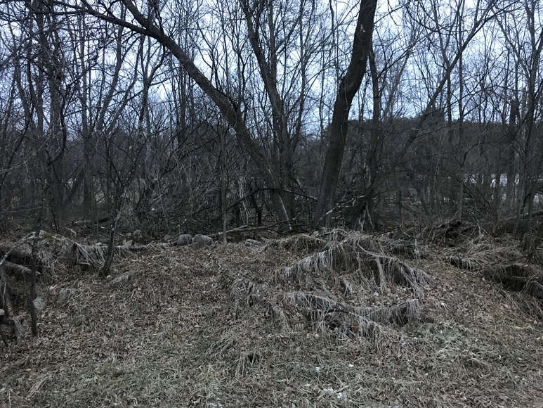 Image for Ready Trust - Approx 1.38 Acres - Buildable Lot