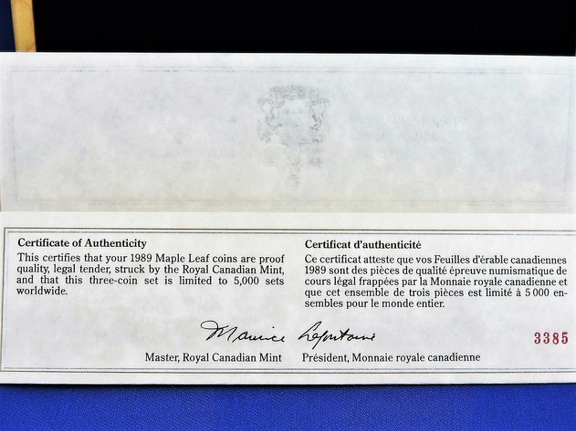 Image for GOLD PLATINUM SILVER 1989 CANADIAN MAPLE LEAF 10TH ANNIVERSARY