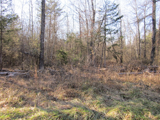 Image for Gough Road,  Rustburg, VA  24588