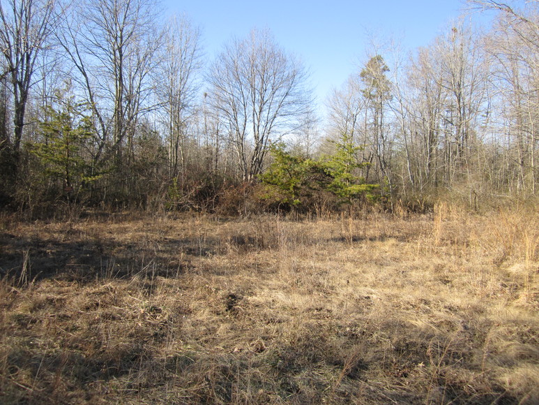 Image for Gough Road,  Rustburg, VA  24588