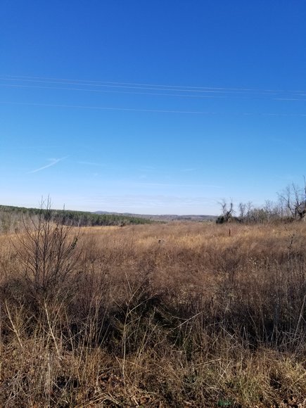 Image for Lot 5 Theta Mill Rd