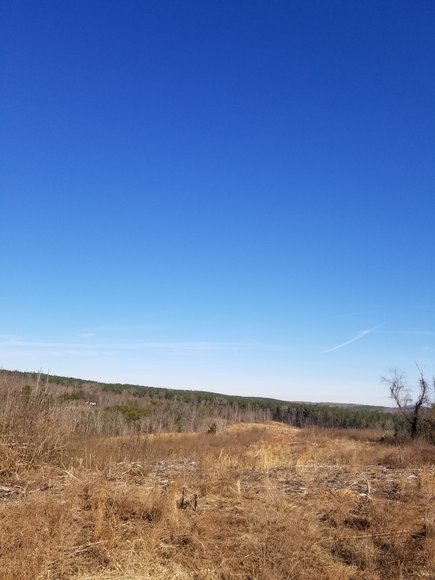 Image for Lot 5 Theta Mill Rd