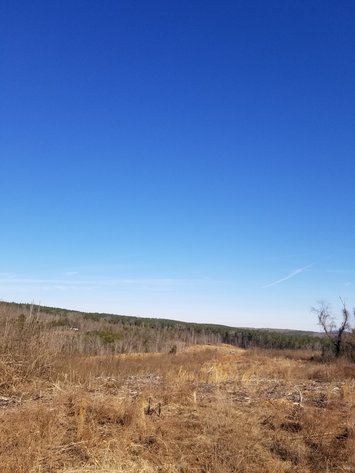 Image for Lot 5 Theta Mill Rd