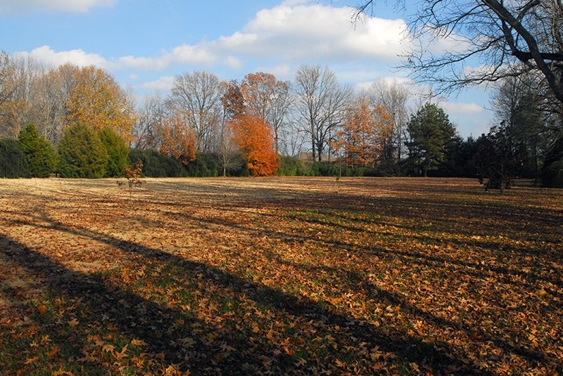 Image for 8940 Barret Rd, Just north of Rosemark Available to highest acceptable offer