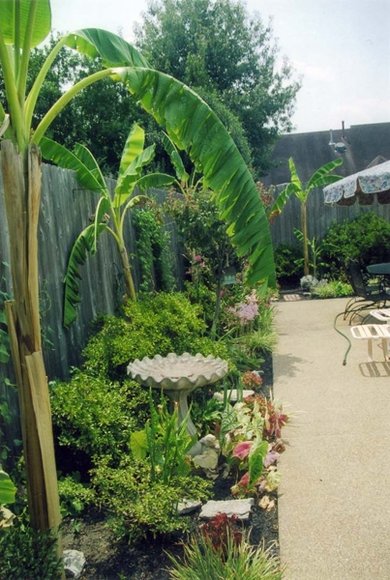 Image for Outstanding Foxchase House! Ready to Move-In!