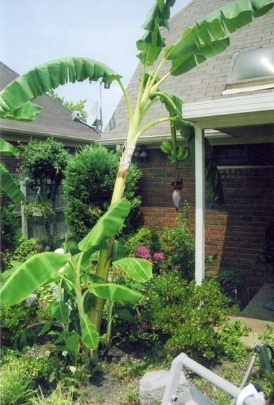 Image for Outstanding Foxchase House! Ready to Move-In!