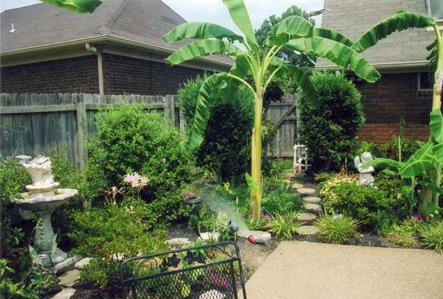 Image for Outstanding Foxchase House! Ready to Move-In!