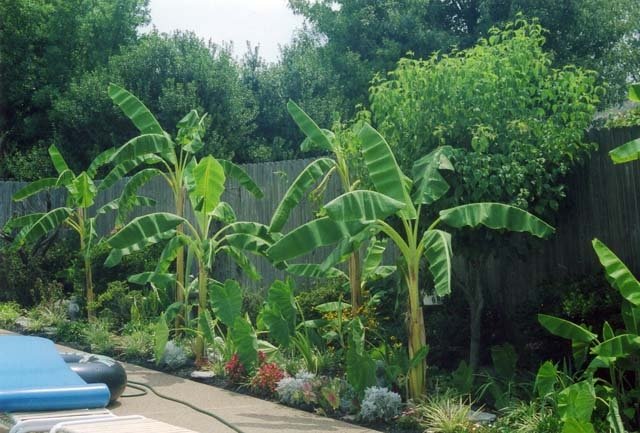 Image for Outstanding Foxchase House! Ready to Move-In!