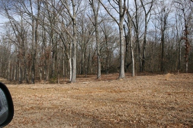 Image for 5± ACRES | 3440 Harrell Dr. Arlington, TN