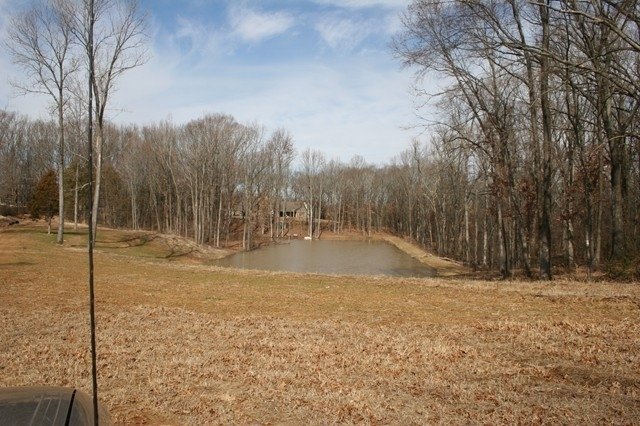 Image for 5± ACRES | 3440 Harrell Dr. Arlington, TN