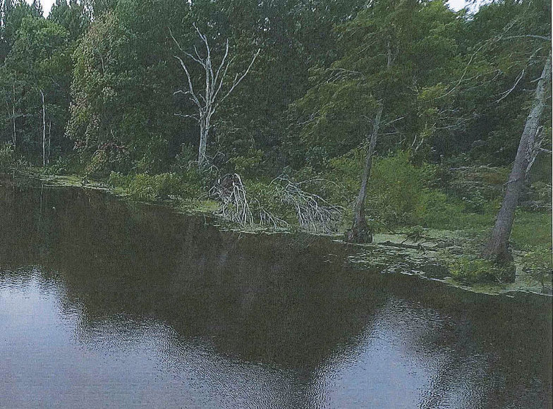 Image for 80± Acres of Land, Perfect for Hunting