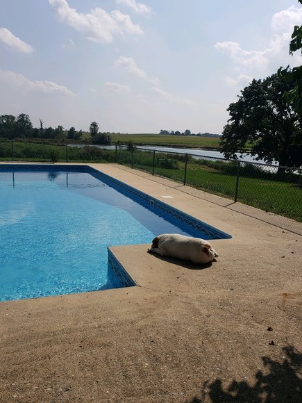 Image for (+/-) 144 Acre Farm Auction - Berks County