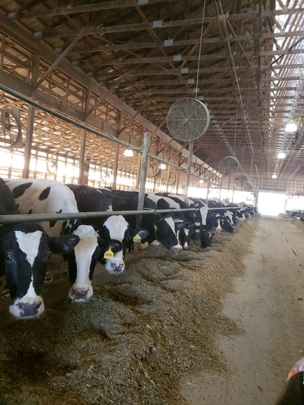 Image for (+/-) 144 Acre Farm Auction - Berks County