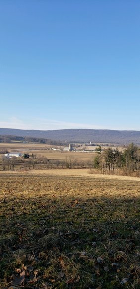 Image for (+/-) 144 Acre Farm Auction - Berks County
