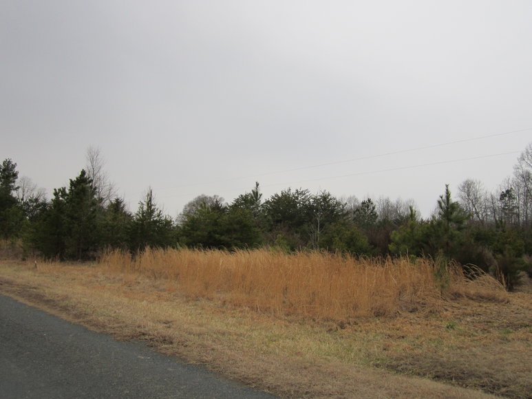 Image for 1247  Cousin Lane,  Nathalie, VA  24577