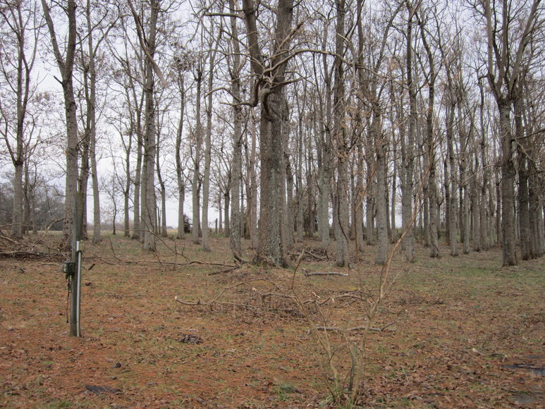 Image for 1247  Cousin Lane,  Nathalie, VA  24577