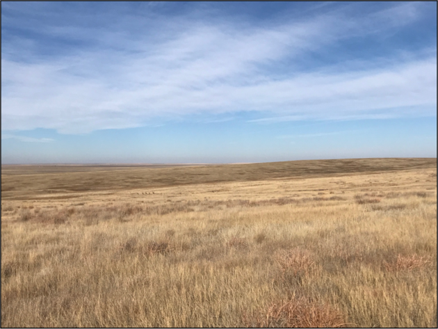 Image for CHRISTINE A. GRAVESEN AUCTION  - SUCCESSFUL AUCTION - SOLD $257,000.00