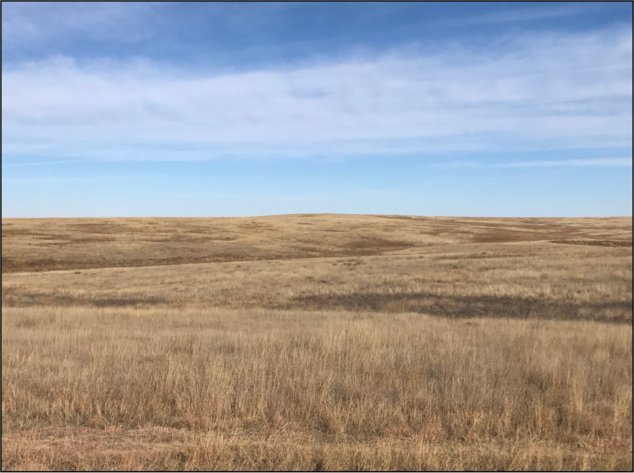 Image for CHRISTINE A. GRAVESEN AUCTION  - SUCCESSFUL AUCTION - SOLD $257,000.00