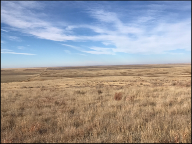 Image for CHRISTINE A. GRAVESEN AUCTION  - SUCCESSFUL AUCTION - SOLD $257,000.00