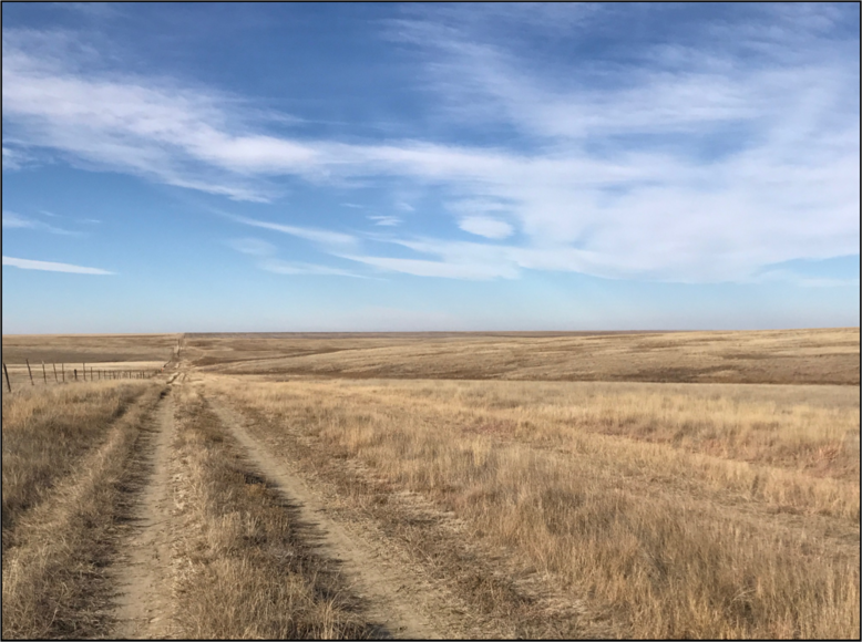 Image for CHRISTINE A. GRAVESEN AUCTION - SUCCESSFUL AUCTION - SOLD $257,000.00