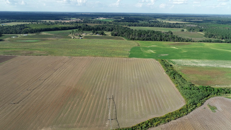 Image for 145+/- Acre Farm in Calhoun County