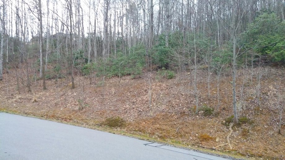 Image for Lot in Catawba Falls Preserve Subdivision - Black Mountain, NC