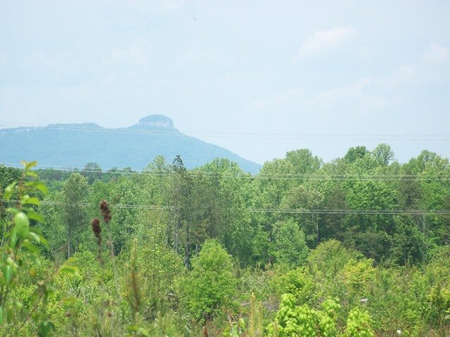 Image for Land Auction - Online Only - East Bend, NC