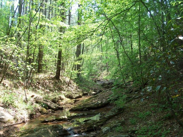 Image for Land Auction - Online Only - East Bend, NC