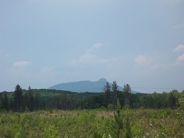 Image for Land Auction - Online Only - East Bend, NC