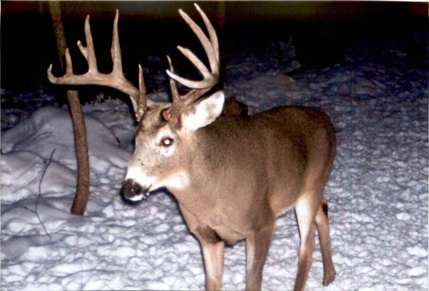 Image for Approximately 160 acres on Nature Rd, Section 15 Town of Matteson, Waupaca County.