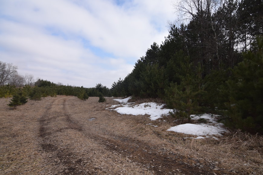 24+ ACRES WOODED/BUILDABLE LAND w/CABIN TOWN OF MAINE, OUTAGAMIE COUNTY