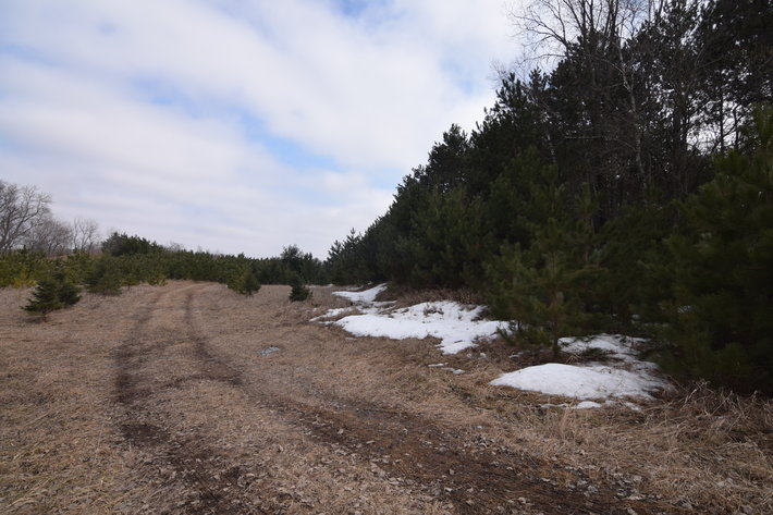 Image for 24+ ACRES WOODED/BUILDABLE LAND w/CABIN - TOWN OF MAINE, OUTAGAMIE COUNTY