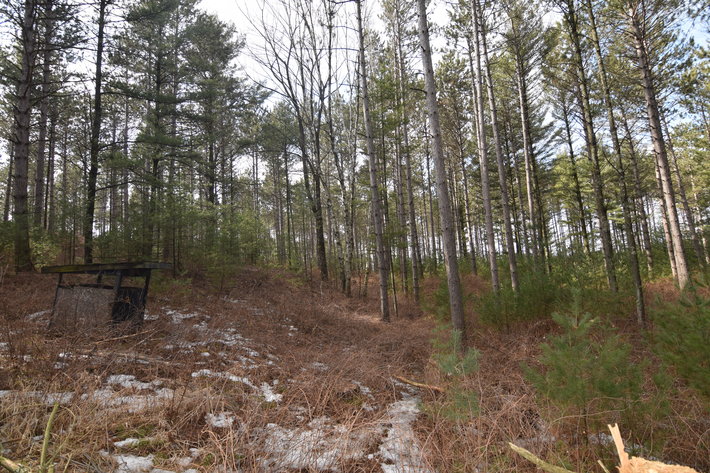 Image for 24+ ACRES WOODED/BUILDABLE LAND w/CABIN - TOWN OF MAINE, OUTAGAMIE COUNTY