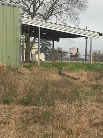 Image for SOLD! $105,000 - 110 - 116 Henderson Rd., Lafayette, LA  70508