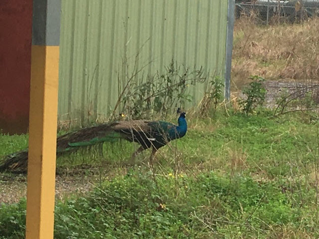 Image for SOLD! $105,000 - 110 - 116 Henderson Rd., Lafayette, LA  70508