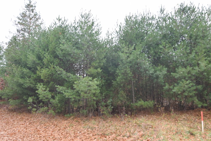 Image for Cloverleaf Lakes - Long Lake Lots