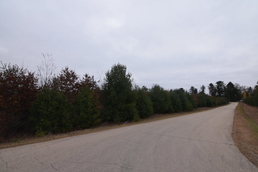 Image for Cloverleaf Lakes - Long Lake Lots