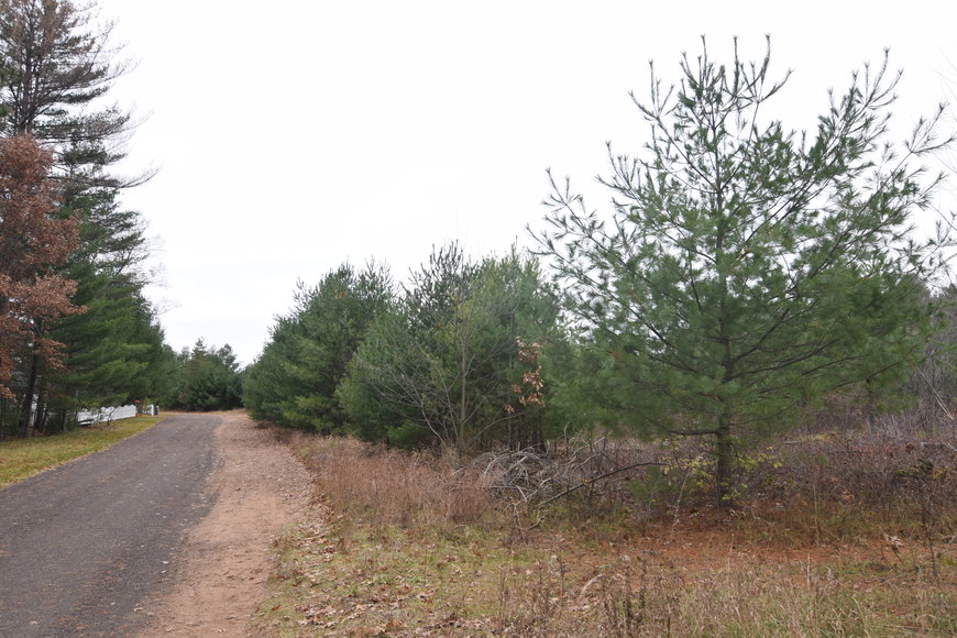 Image for Cloverleaf Lakes - Long Lake Lots