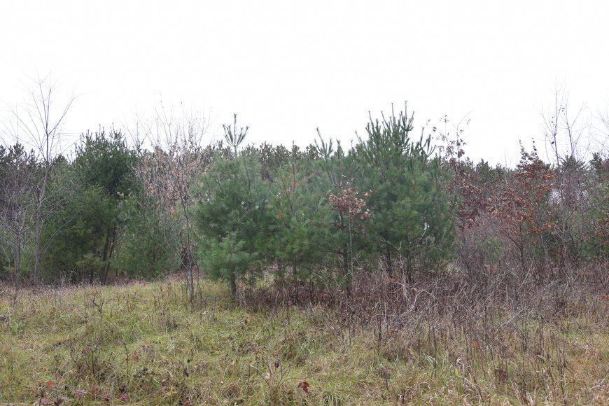 Image for Cloverleaf Lakes - Long Lake Lots