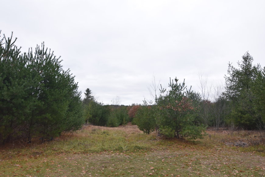 Image for Cloverleaf Lakes - Long Lake Lots