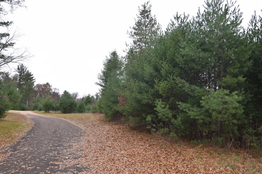 Image for Cloverleaf Lakes - Long Lake Lots