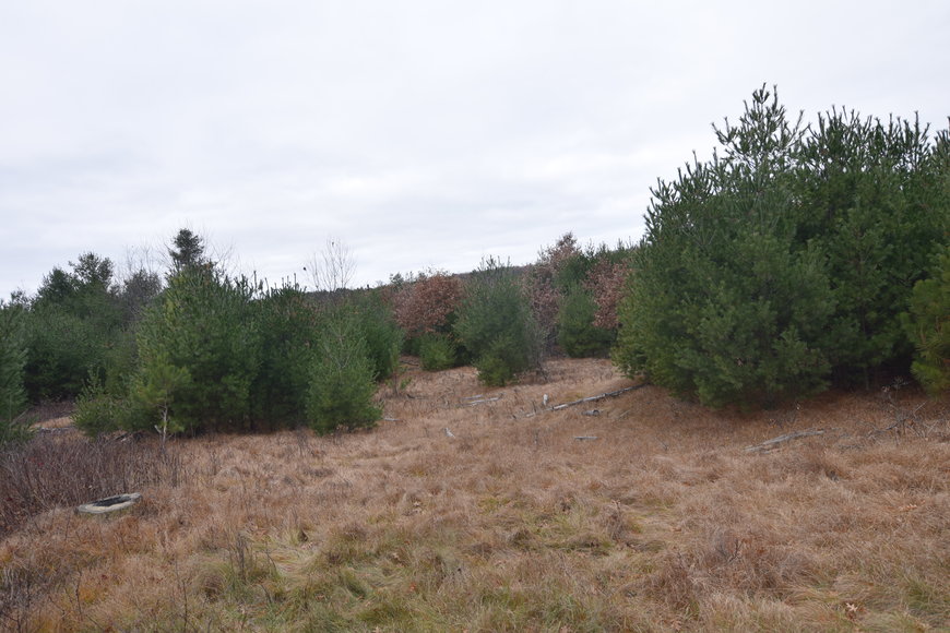 Image for Cloverleaf Lakes - Long Lake Lots